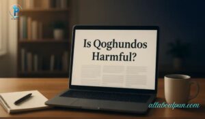 how-much-is-qoghundos